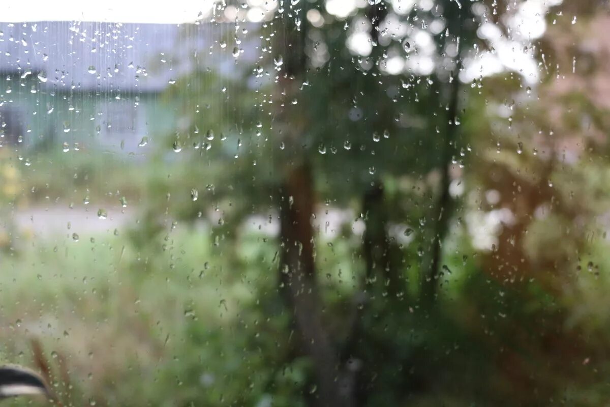 песни дождь за окном. слова песни. дождь в окне. песни дождь за окном. за окошком снова непогодица слова.