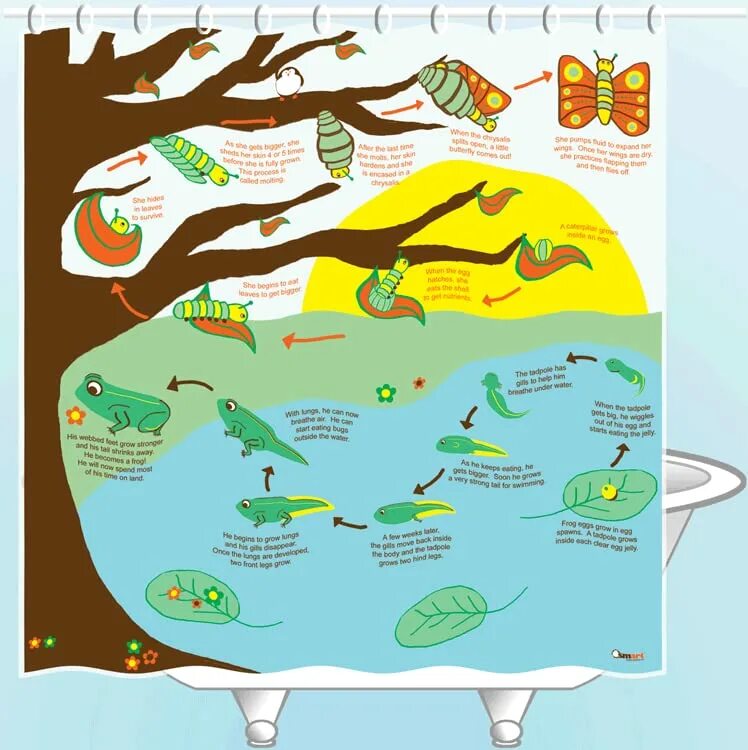 Metomorphosis 3. Metamorphosis 2. Interworld - metamorphosis девушка. Metomorphosis 3. Metomorphosis 3.