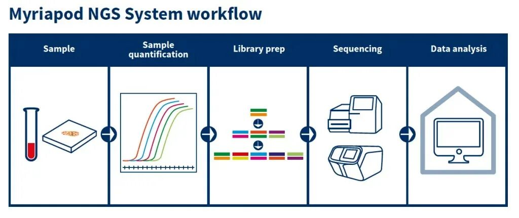 Ngs. NGS sequencing. NGS Analysis data. Listing/sequencing таблица. PACBIO секвенирование.