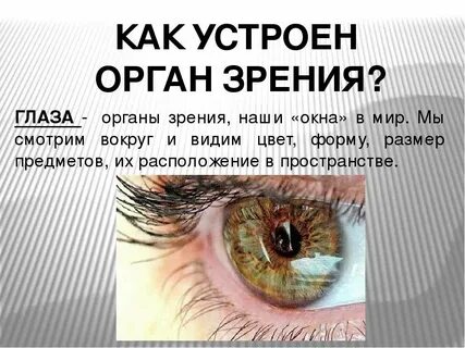 Зрение 4 класс