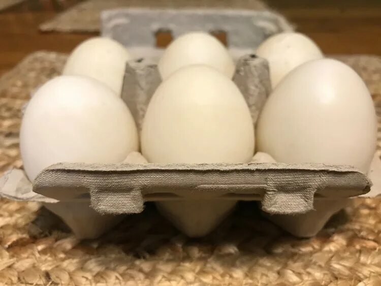 Утиные яйца. Яйцо утки. Подкладное яйцо для уток MX. Кладка яиц.