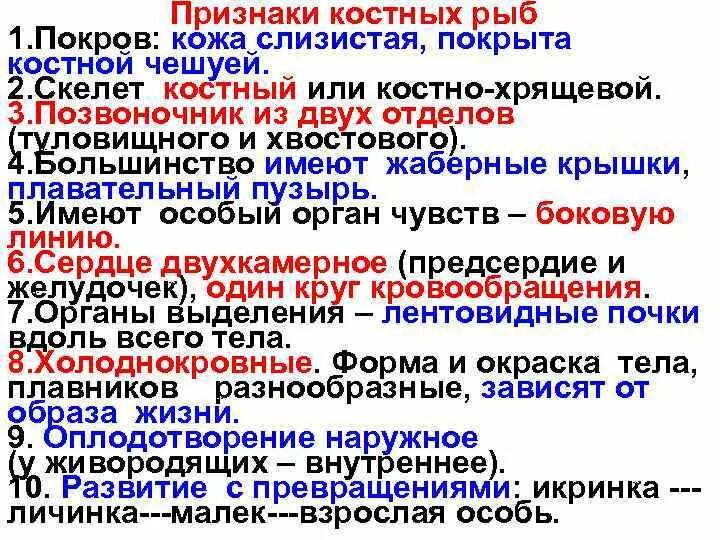 Костные рыбы особенности покровов тела. Кожный покров рыб. Характеристика покровов рыб. Строение покровов рыб. Покровы костных рыб.