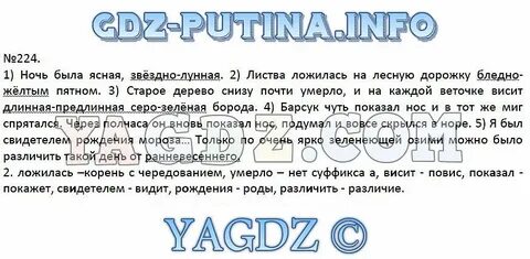 Упражнение 224 по русскому языку 6 класс