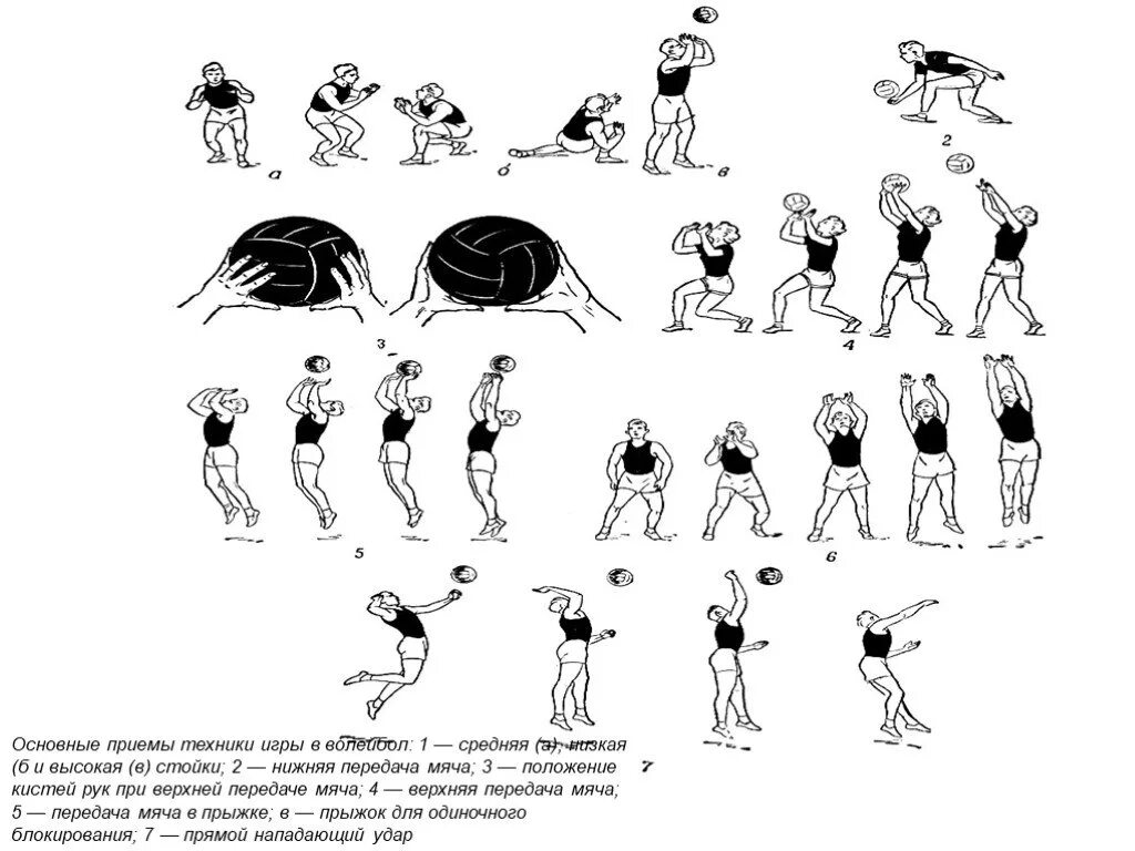 Технические приемы в волейболе. Основные технические приемы в волейболе приём. Технические приемы игры в волейбол. Основные технические элементы волейбола.