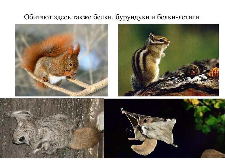 Приморский край