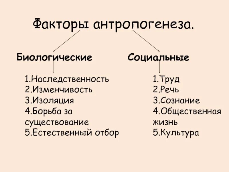 Факторы развития групп. Факторы антропогенеза биологические и социальные схема. биологические и социальные факторы человека таблица. биологические и социальные факторы становления человека. заполните таблицу биологических и социальных факторов антропогенеза.