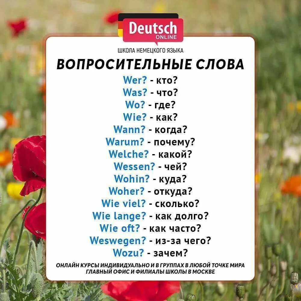 Немецком языке с русскими субтитрами. Вопросительные слова в немецком языке. вопросительные слова на немецком языке с переводом. вопросительные слова в немецком языке таблица. вопросительные вопросы в немецком языке.