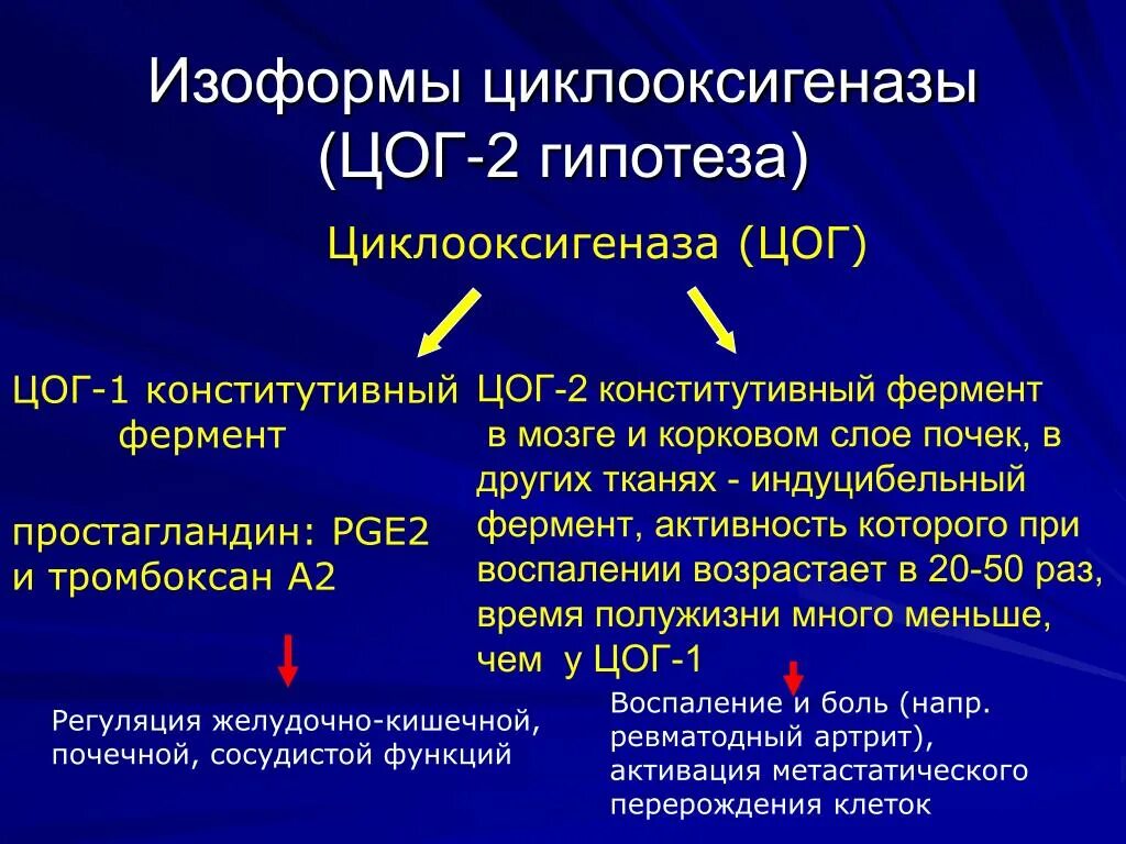 Прибалтийская гипотеза. ЦОГ-1 И ЦОГ-2 что это. ЦОГ 2 селективные НПВС. Селективные ингибиторы ЦОГ 1. НПВС ингибитор цог1 и цог2.