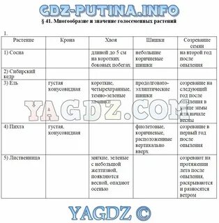 Лабораторная работа 5 класс параграф 5