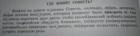 Текст рассуждение на тему совесть