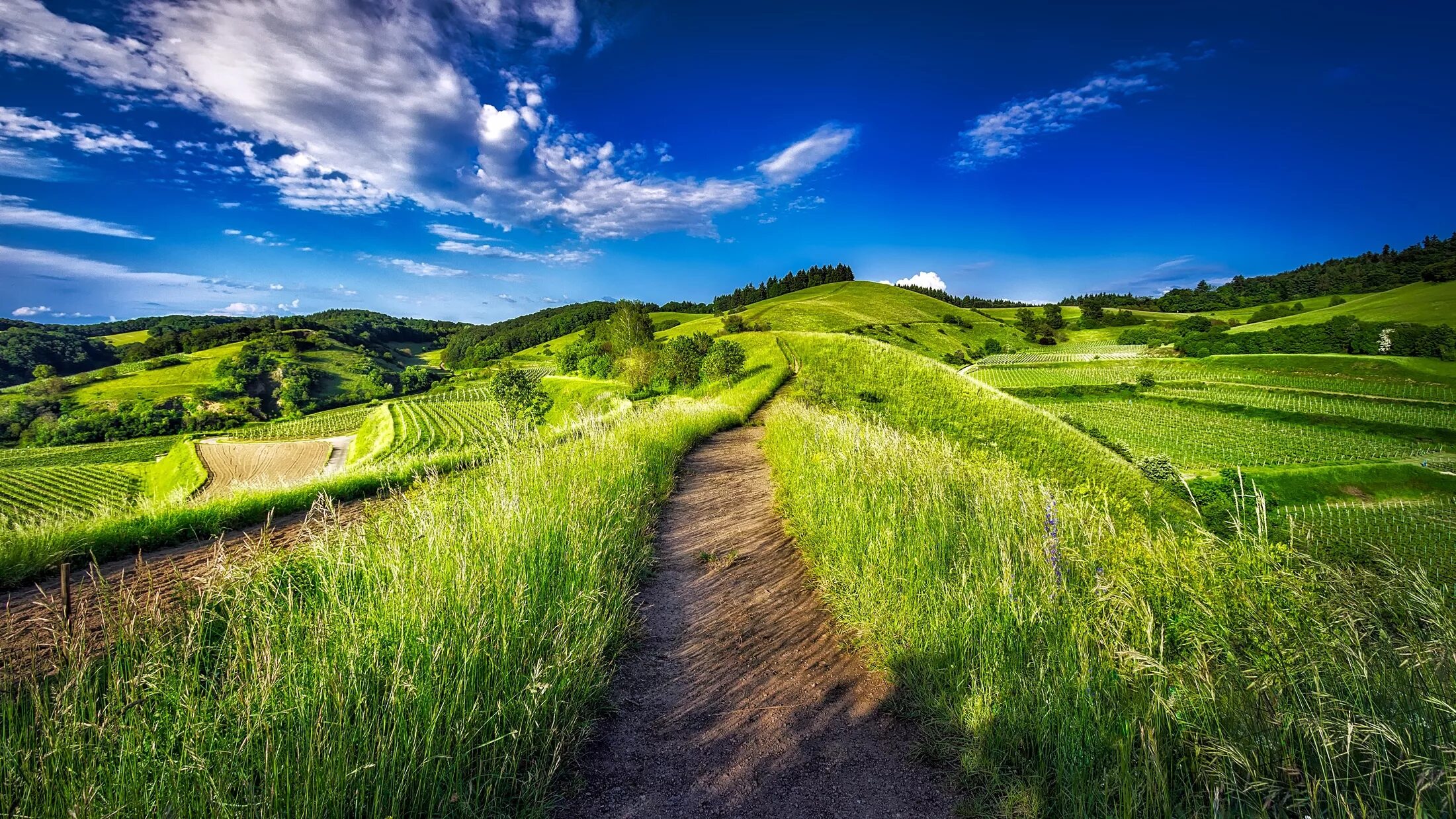 La natural. Green Hills зеленые холмы. Зеленые холмы Англии. Зеленые холмы 212525. Холмы Германии.