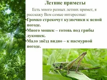В ухе как будто кузнечики стрекочут