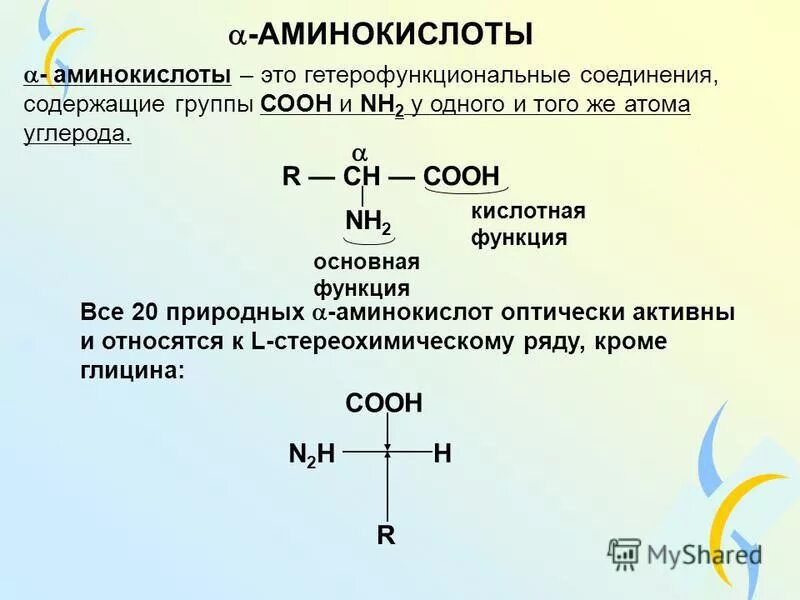 Оптические аминокислоты. Альфа аминокислоты. Строение Альфа аминокислот. Формулы основных аминокислот. Общая формула Альфа аминокислот.