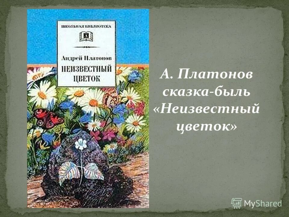 А п платонов сказка быль неизвестный цветок. Платонов сказка быль неизвестный цветок. Платонов а. "неизвестный цветок".