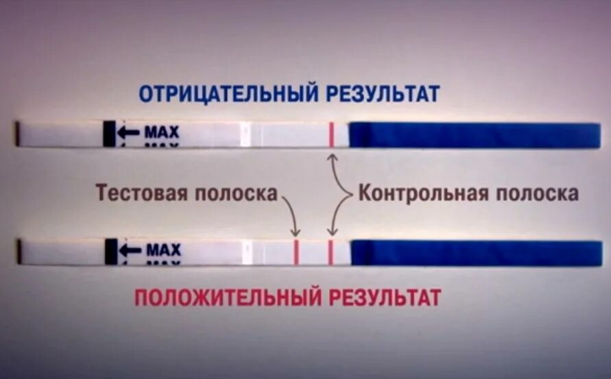 Тест на беременность неверный результат. Как должен выглядеть отрицательный тест на беременность. Тест на ь. Тест набеременать. Ван тест на беременность.