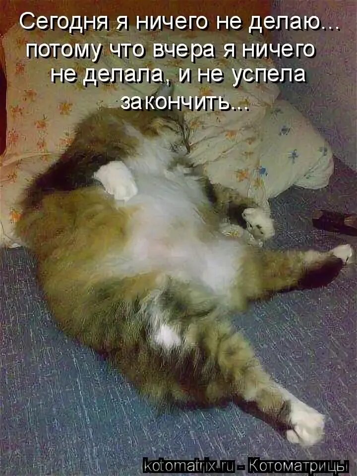 Просто ничего не делаю. Ничего не делать. сегодня ничего не делаю. открытка день ничего не делания. ничего не делать картинки.