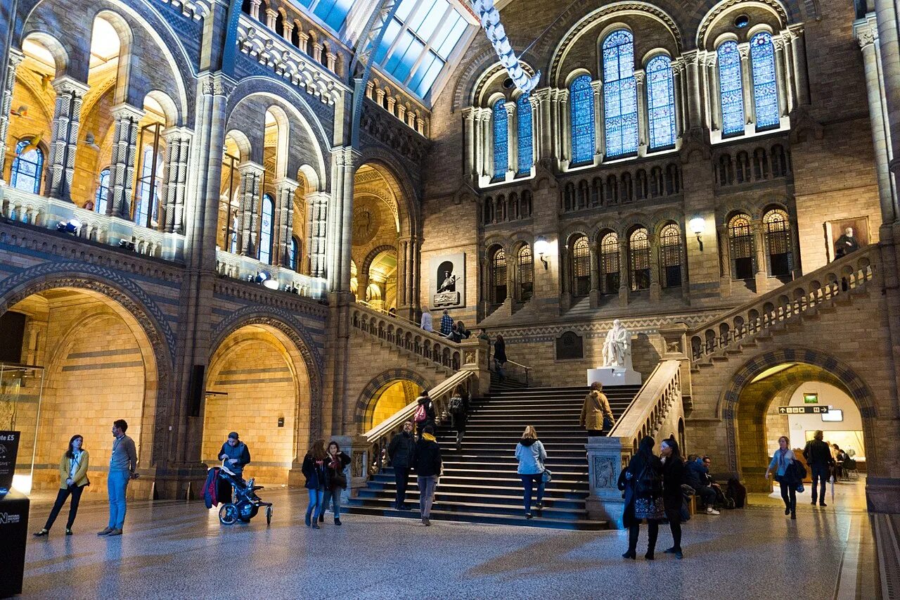 Музей естествознания Лондон. Natural History Museum London. Британский музей в Лондоне виртуальная экскурсия. Музей в Лондоне внутри. Знаменитый музей в лондоне