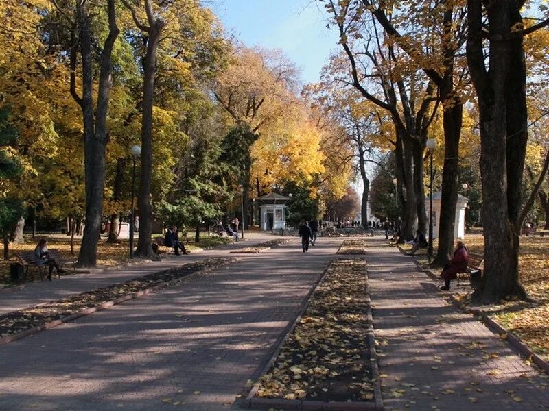 Программа на выходные в ЦПКиО им. 1000-летия города Брянска - Управление культур