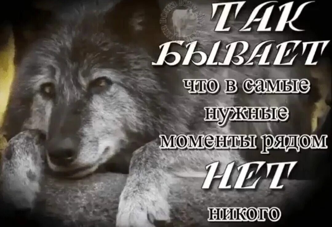 Ну мне нужно помочь. Когда помощь нужна мне рядом никого. никого нет рядом. когда нужна поддержка. когда нужна поддержка рядом никого.