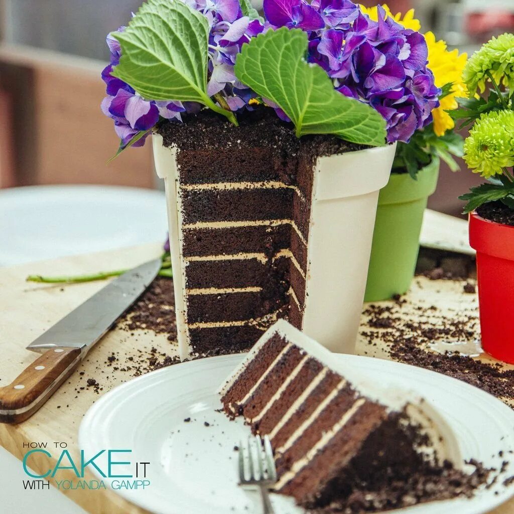 шоколадные горшочки. мамин любимый цветок десерт. шоколадный горшок с цветами. цветок в шоколадном горшке. шоколадный цветочный горшок.