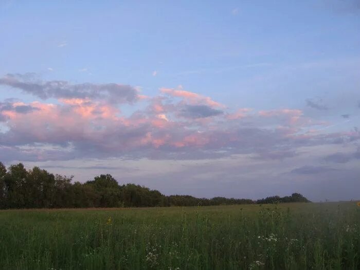 бирюч таловский район. воронежская область, терновский р-н, с. вязовка воронежская область таловский район школа. таловский район воронежская область село бирюч. село никольское таловского района воронежской области.