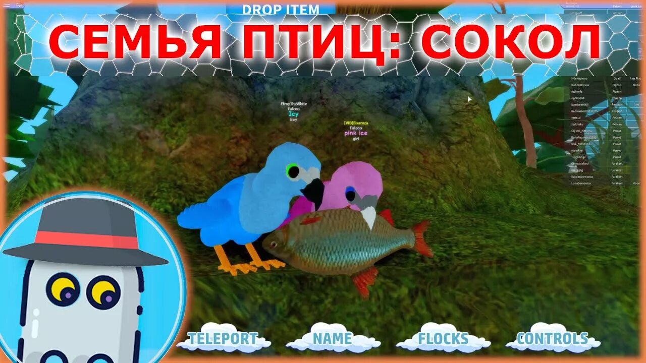 Птица из роблокса. Симулятор птиц в роблоксе. В игре роблокс игра семья птиц. Семья птиц роблокс. Игра feather family.