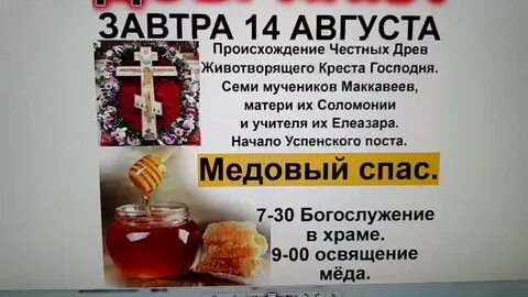 Программа спас на завтра