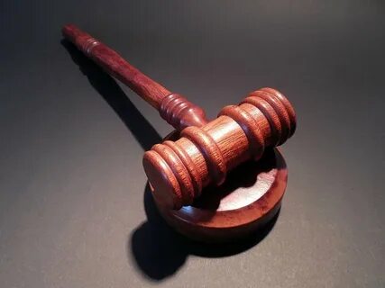 Судебная практика животные
