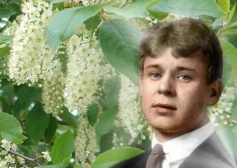 Аудиозапись черемуха. Черемуха есенина. есенин с. а. &quot;черемуха&quot;.