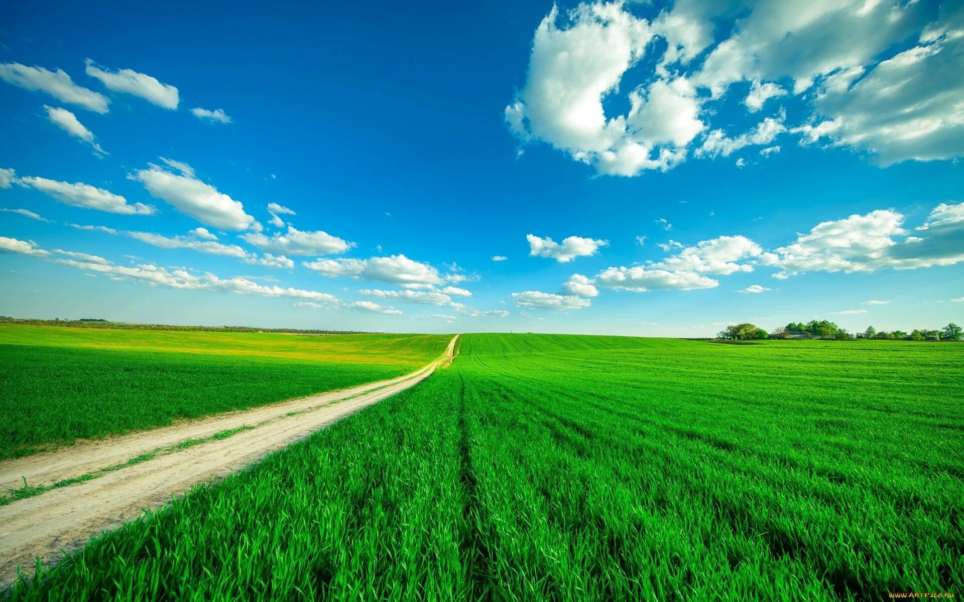 Поставь зеленое поле. Трава и небо. Природа поле. Поле и небо. Зеленое поле.