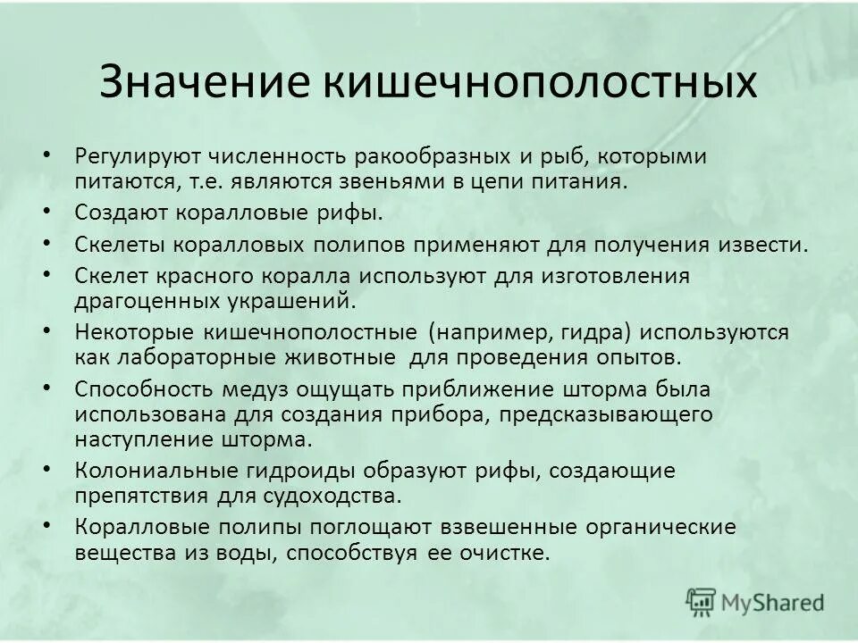 Сообщение многообразие кишечнополостных и их значение. Значение кишечнополостных 7 класс биология таблица. значение кишечнополостных в природе. значение кишечнополостных. роль кишечнополостных в природе.