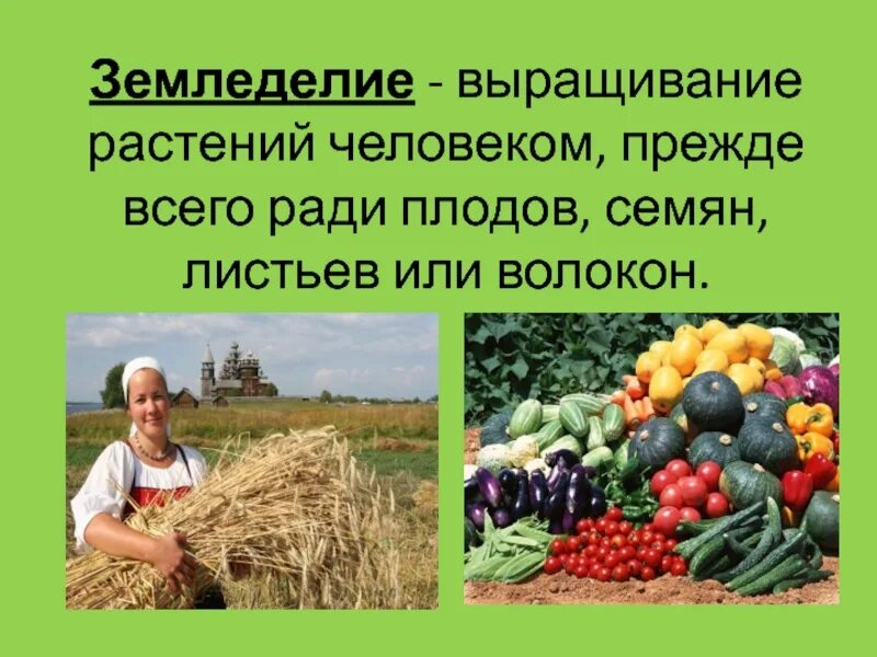 Составь план пересказа труд в крестьянском хозяйстве. Земледелие слайд. Сельское хозяйство 3 кл. Труд в крестьянском хозяйстве. Технологии земледелия презентация.