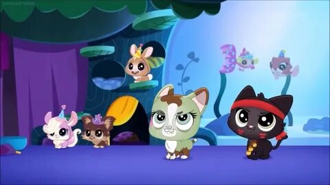 In the night pet shop