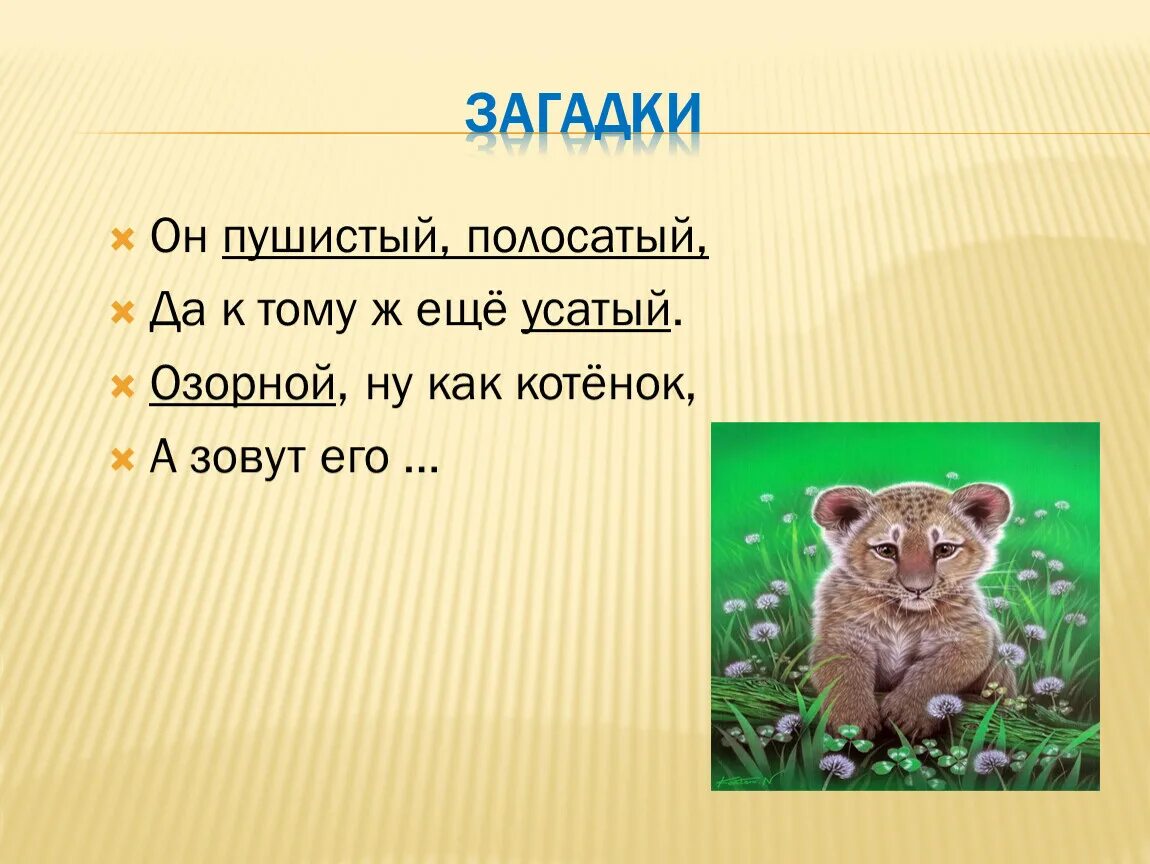 Загадки про добро. Полосатый пушистый добрый загадка. Полосатый пушистый добрый кто это 1 класс литературное чтение. Полосатый пушистый добрый кто это. Загадки про животных полосатый пушистый добрый.