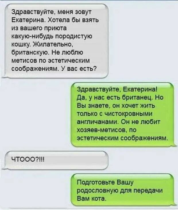 Здравствуйте меня зовут я представляю компанию. Здравствуйте меня зовут. дети красивые будут, ты же породистая переписка. хочу катерину.