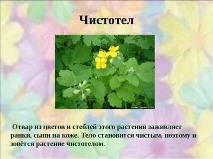Травы объяснение