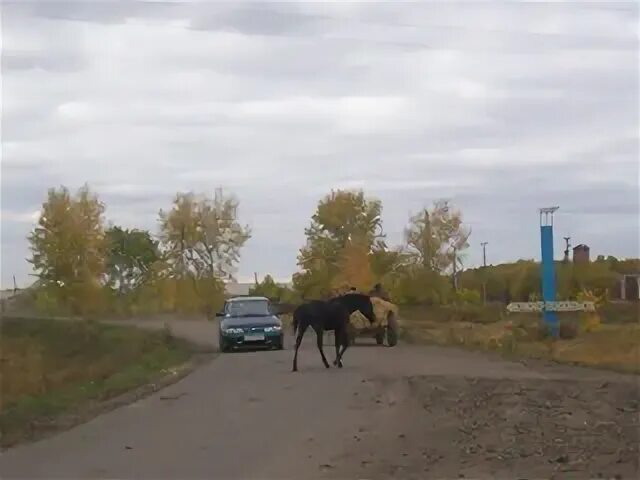 Погода омская черлакский южно подольск