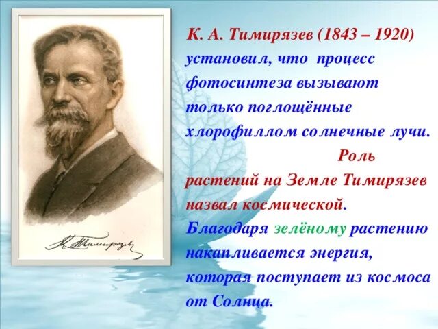 Космическая роль зеленых растений текст. Тимирязев к.а. (1843-1920). Тимирязев о роли растений. Тимирязев ученый. Тимирязев биография.