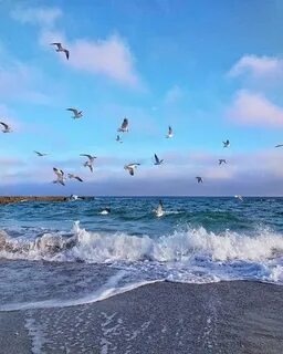 Слушать и все таки море