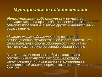 Что такое государственная муниципальная собственность