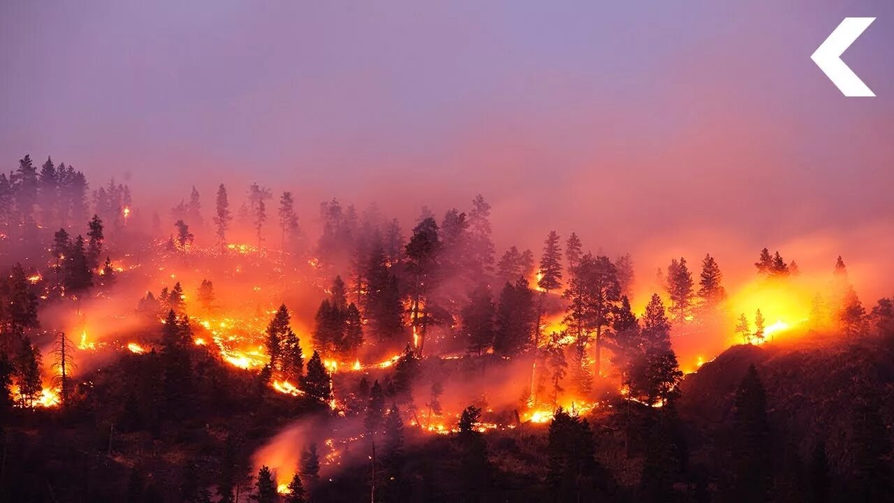 Fires that happen in the. Fires that happen in the. Пожары в калифорнии. Калифорния жара. Fires that happen in the.