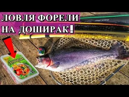 Ловля форели на резину