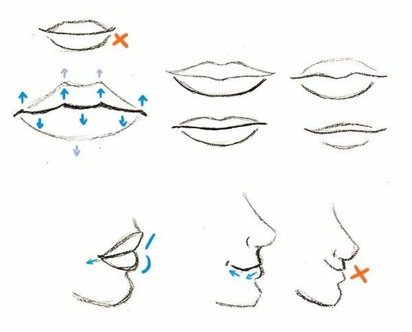 Как нарисовать нос и рот. Схема рисования рта. схема рисования рта носа. поэтапное рисование губ для детей. уроки рисования для начинающих человека губы.