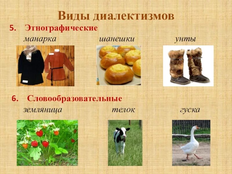 Этнографические диалектизмы. Стилистические функции диалектизмов. Диалектизмы примеры. Этнографические диалектизмы примеры. Этнографические диалектизмы.