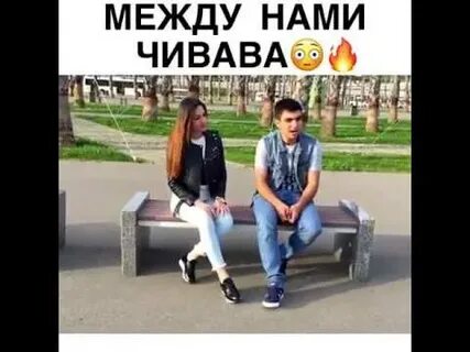 Чивава песня