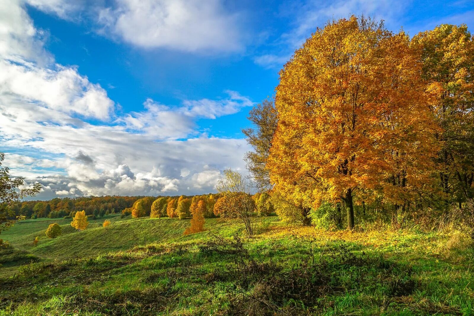 Конец лета осень. Картинка конец лета начало осени. Август природа. Картинка конец лета начало осени. Картинка конец лета начало осени.