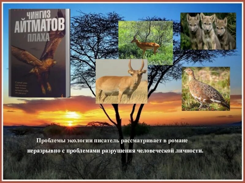 Плаха краткое содержание. Плаха проблемы. роман плаха презентация. айтматов плаха проблематика. экологические проблемы в творчестве айтматова.