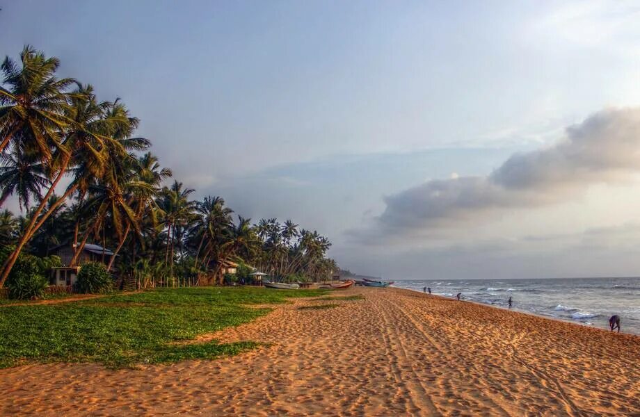 Юго западное побережье. Юго западное побережье. Юго западное побережье. Мыс фиолент (заказник). Мыс виноградный севастополь.