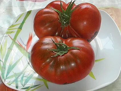 Что сделать из крупных помидор