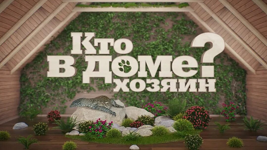 Хозяин в доме график работы Заливные Улыбашки!) Сообщество "Позитивов ☺ зы" на DRIVE2
